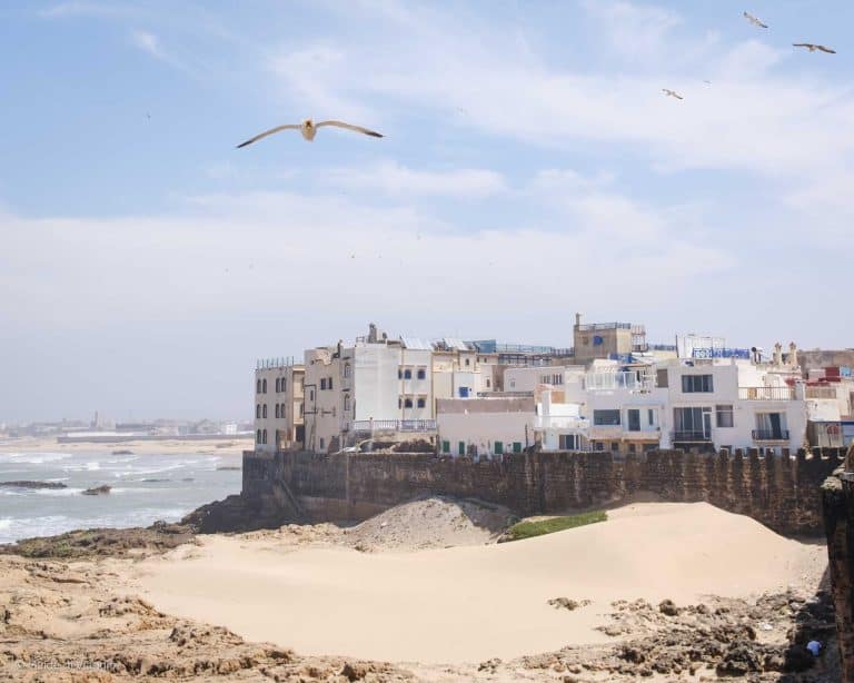 Panorama di Essaouira: una destinazione perfetta per andare al mare da Marrakech